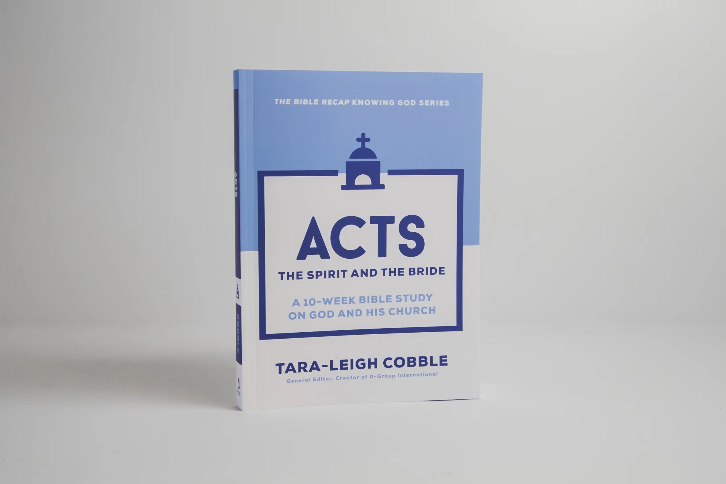 Acts: The Spirit and the Bride - Image 4