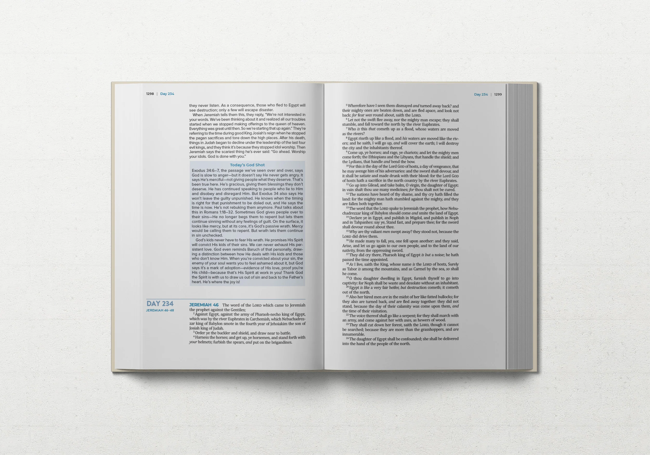 TBR 365-Day Chron Study Bible KJV - Hardcover - Image 2