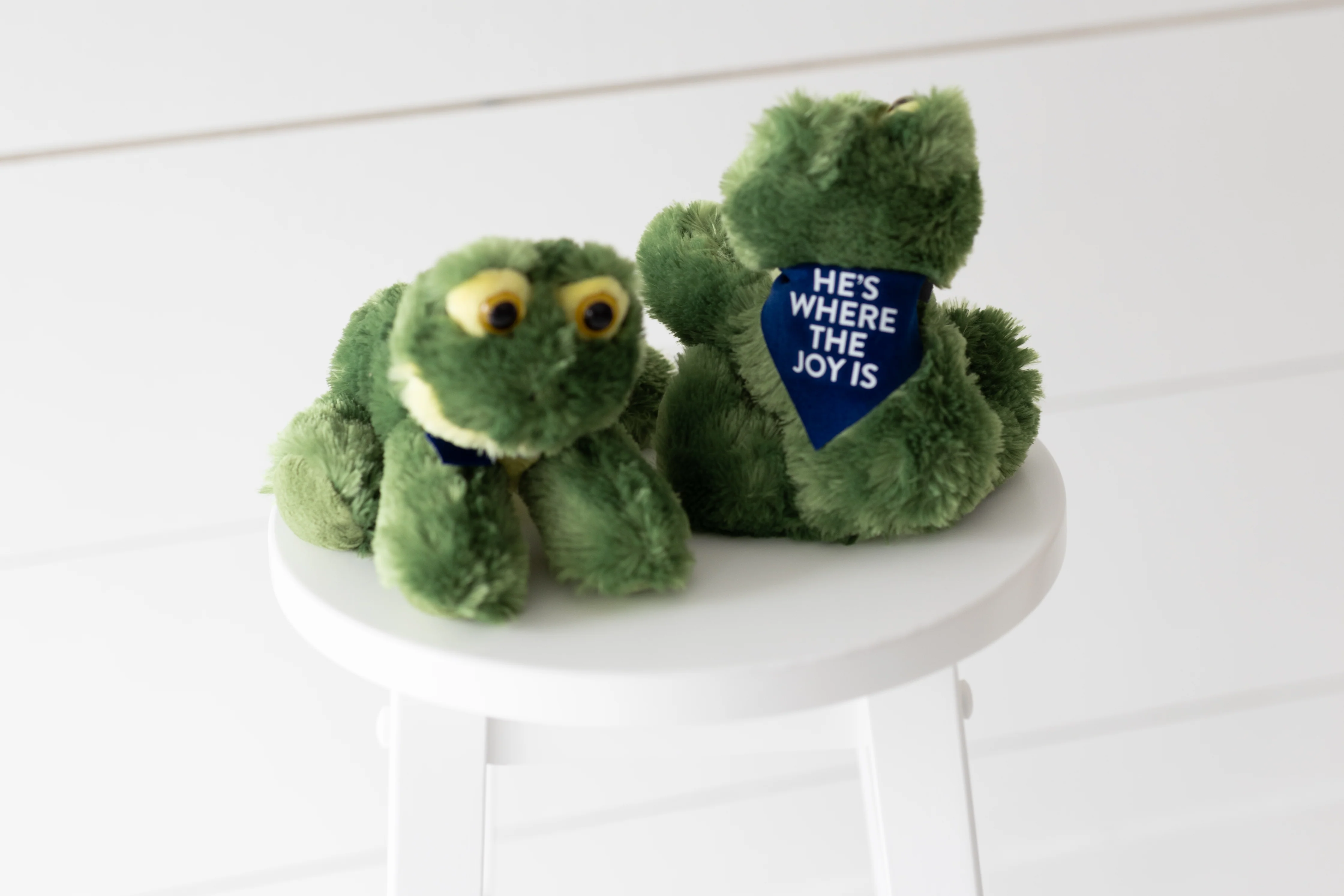 Redemption Frog - Image 3