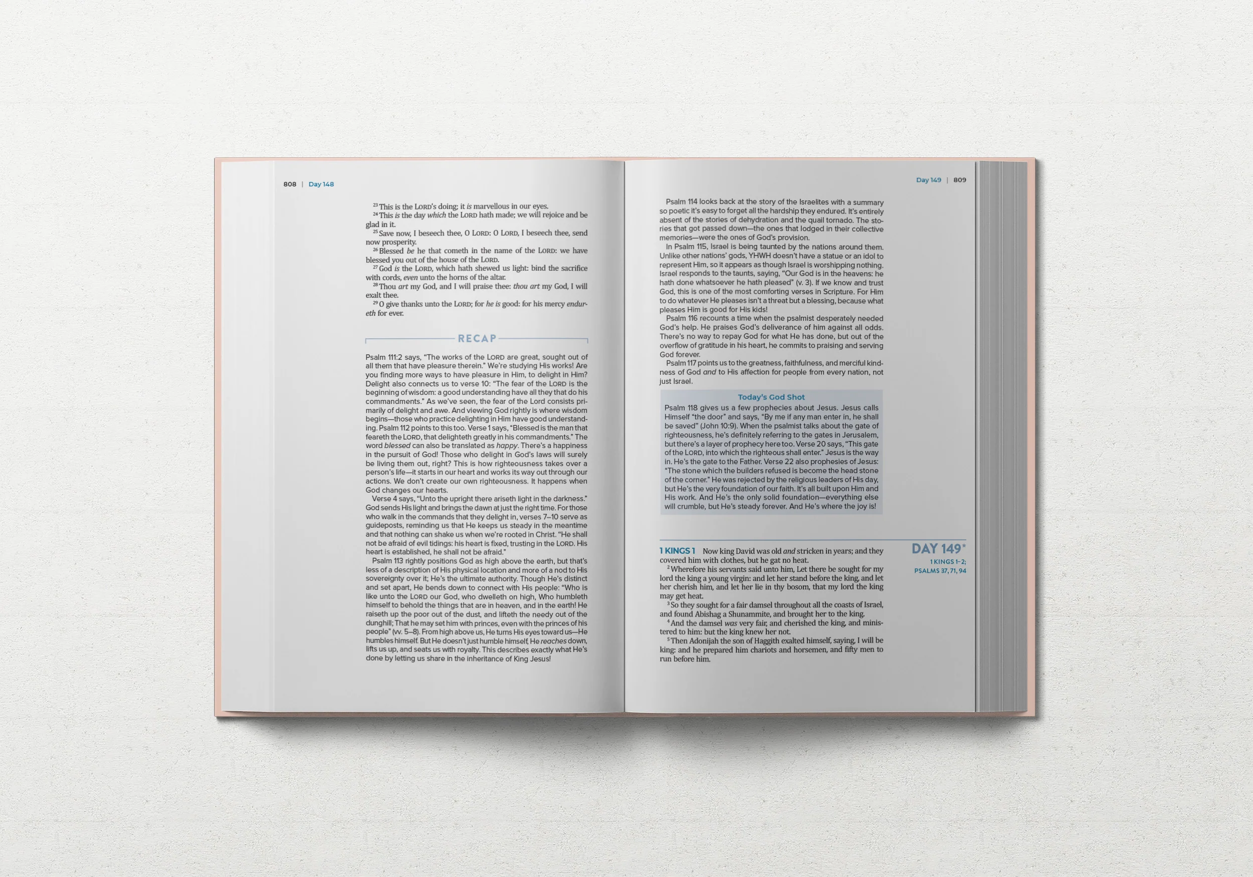 TBR 365-Day Chron Study Bible KJV - Pink Vegan Leather Hardcover - Image 3