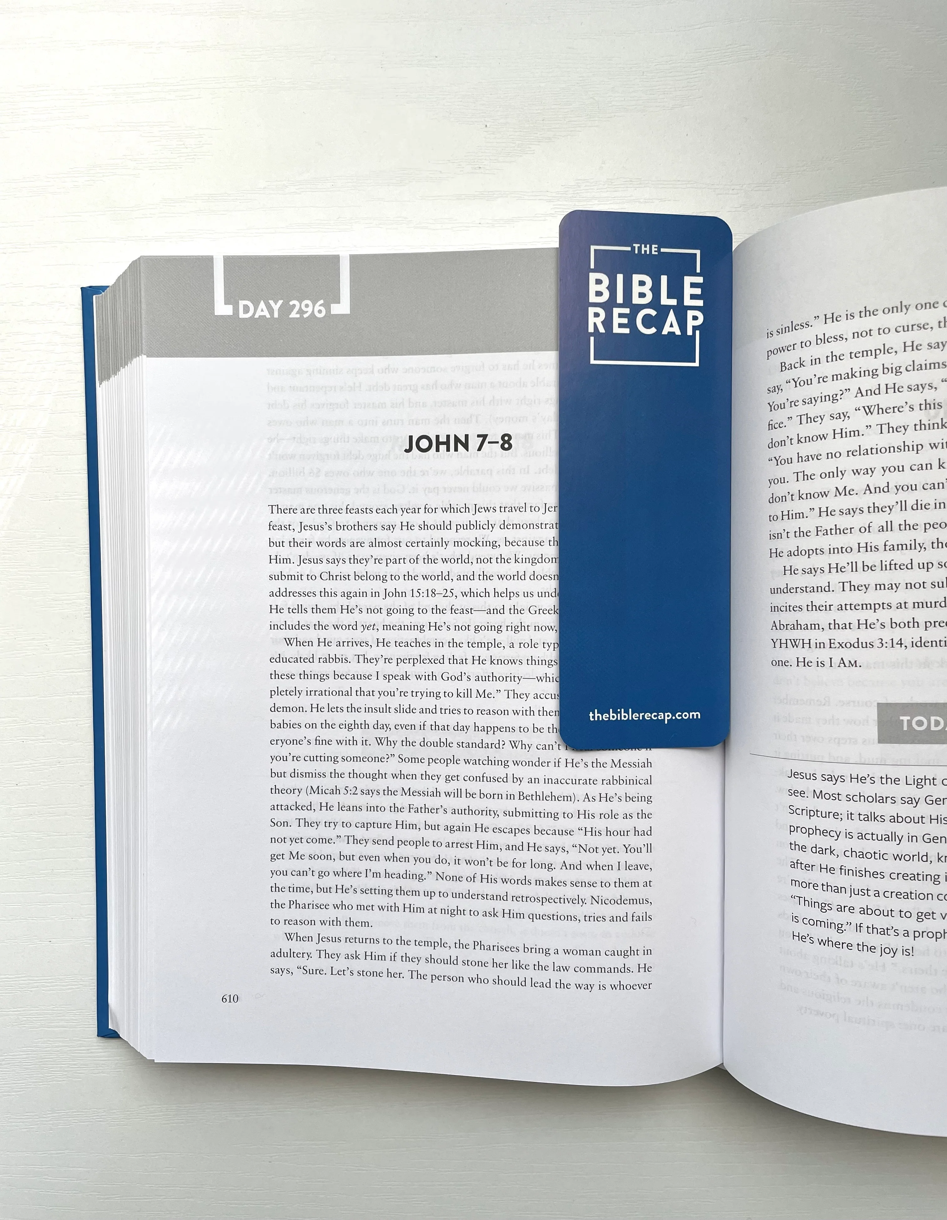 TBR Bookmarks - 5pk - Image 3