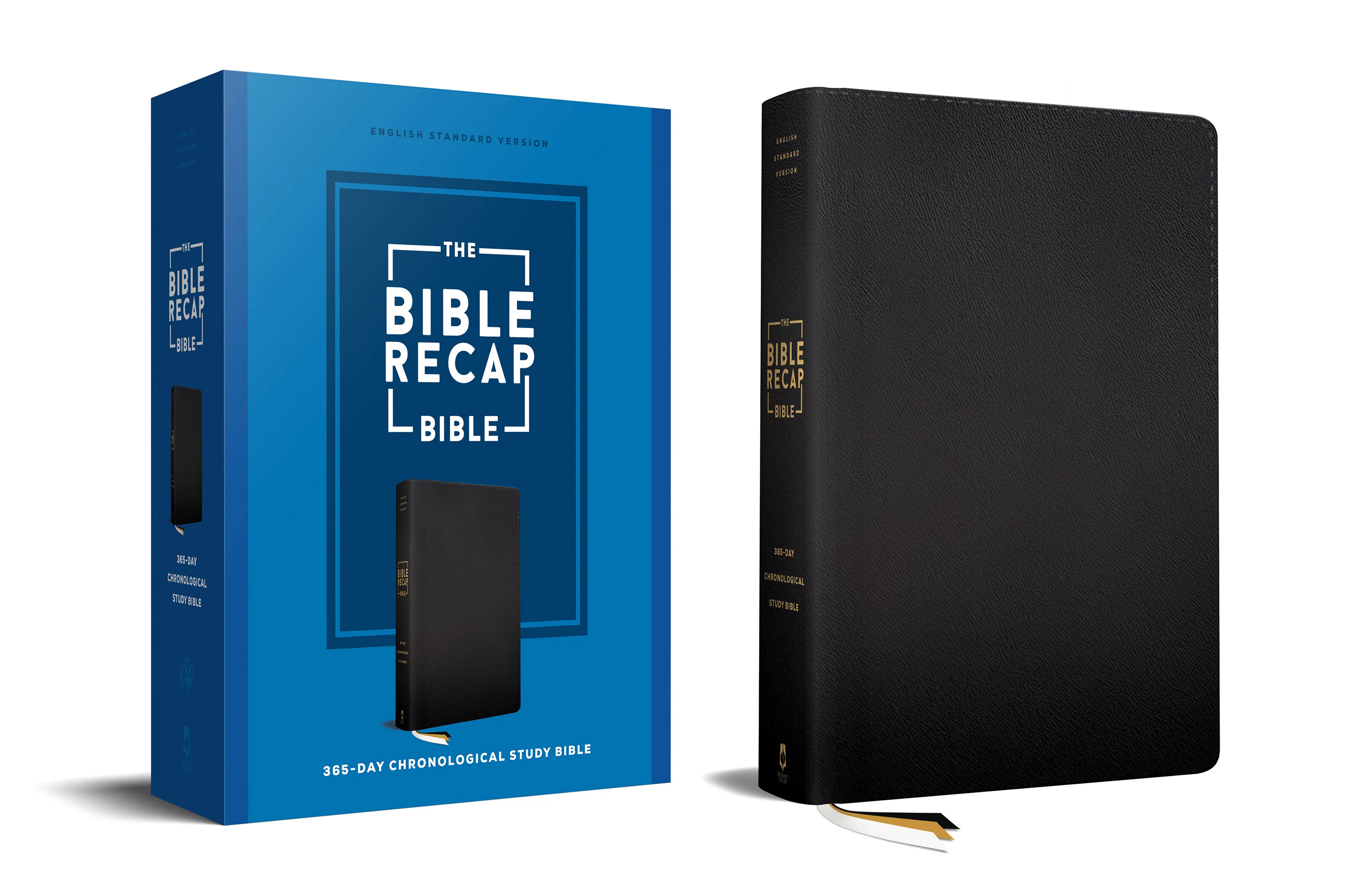 TBR 365-Day Chron Study Bible ESV - Black Leather - Image 3