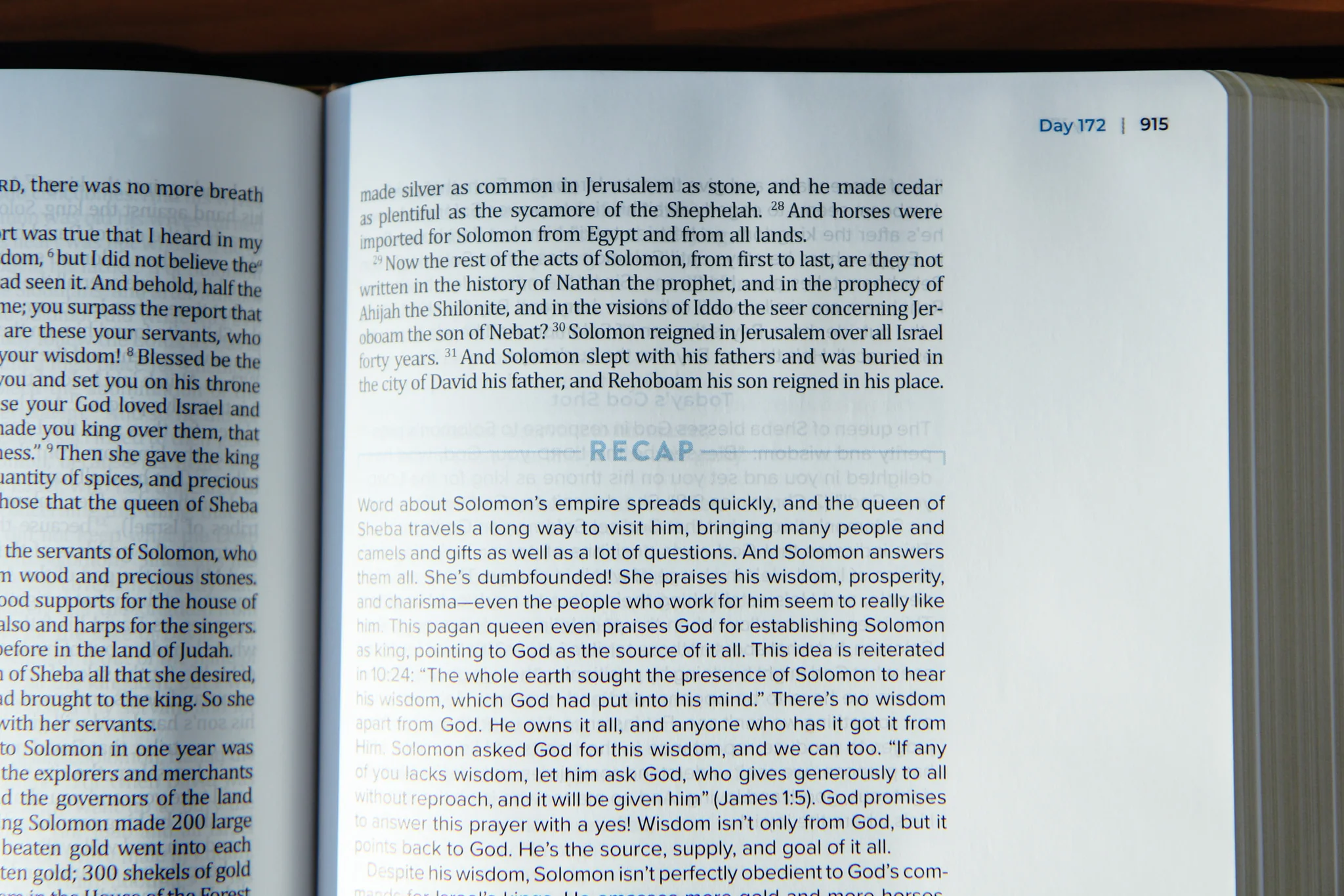 TBR 365-Day Chron Study Bible ESV - Black Leather - Image 4