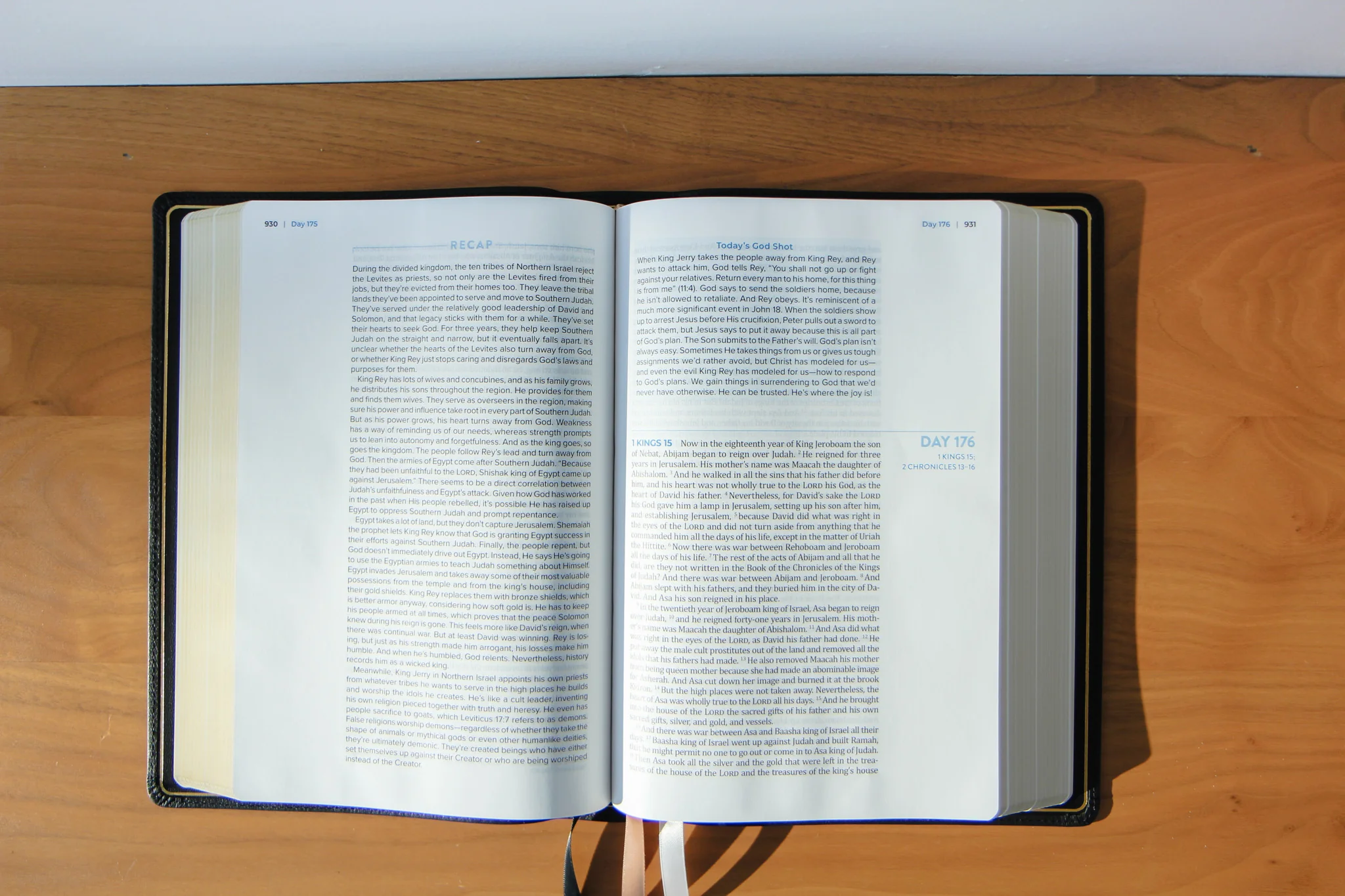 TBR 365-Day Chron Study Bible ESV - Black Leather - Image 5
