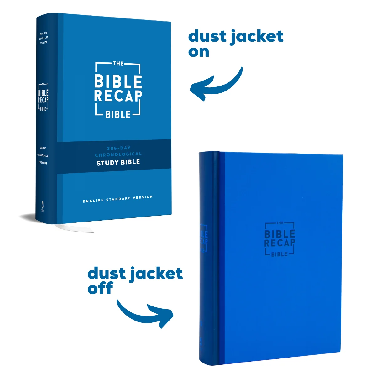 TBR 365-Day Chron Study Bible ESV - Hardcover - Image 6