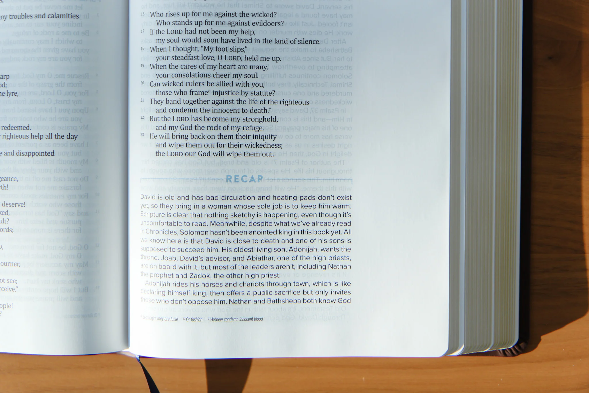 TBR 365-Day Chron Study Bible ESV - Brown Vegan Leather - Image 3