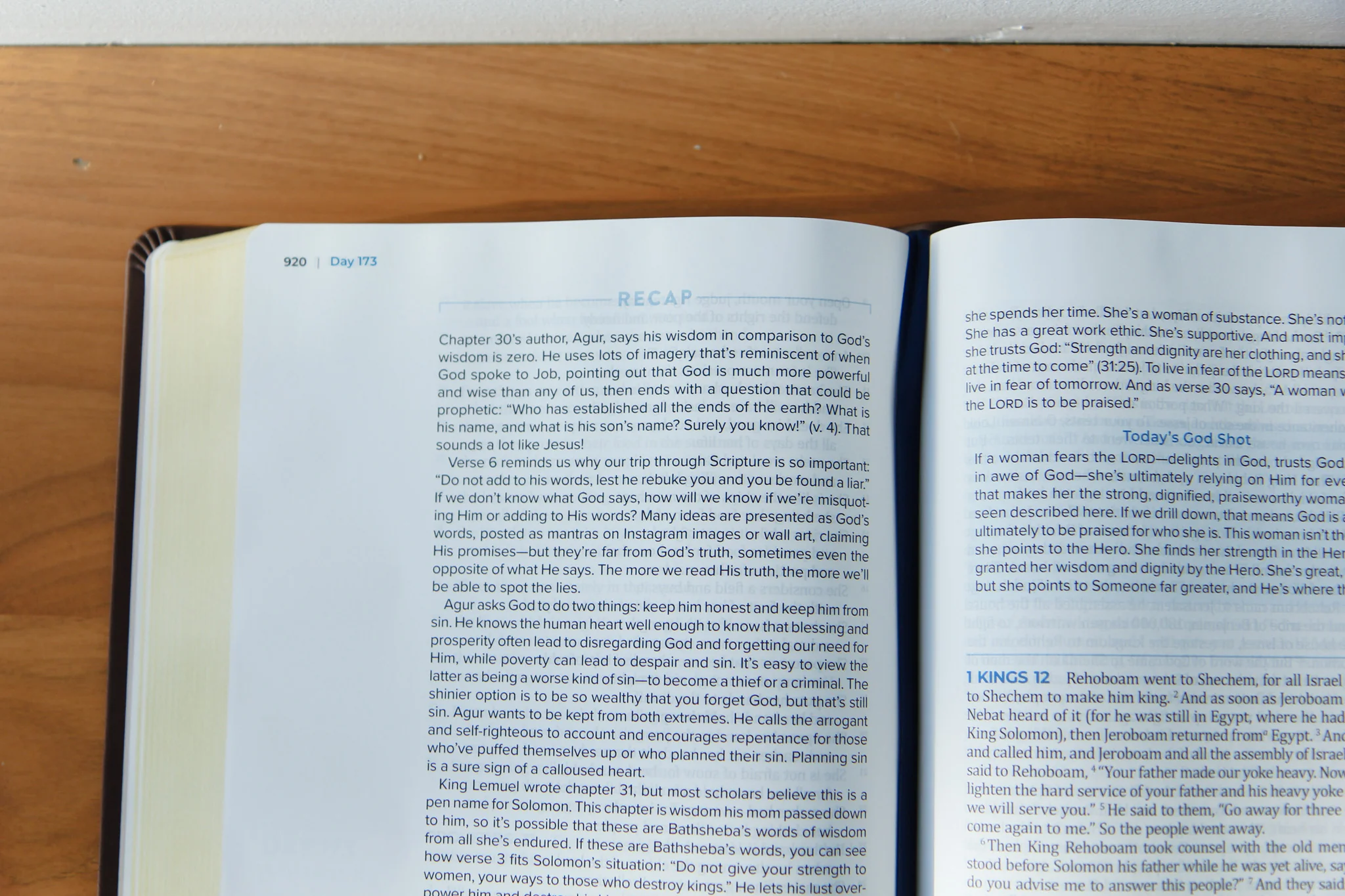 TBR 365-Day Chron Study Bible ESV - Brown Vegan Leather - Image 4
