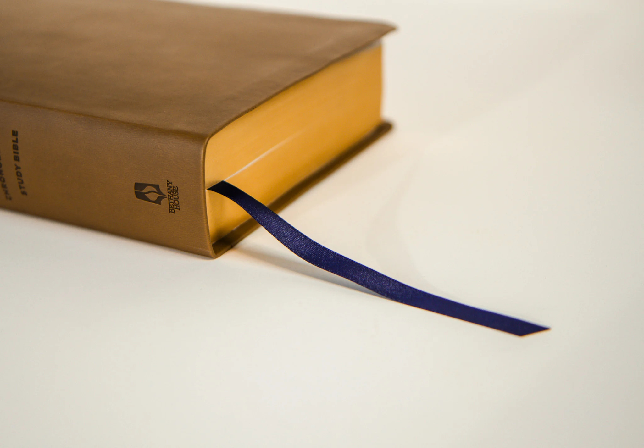 TBR 365-Day Chron Study Bible ESV - Brown Vegan Leather - Image 7