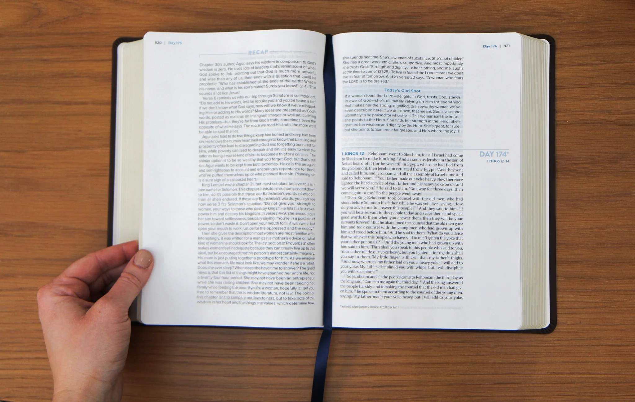 TBR 365-Day Chron Study Bible ESV - Brown Vegan Leather - Image 9