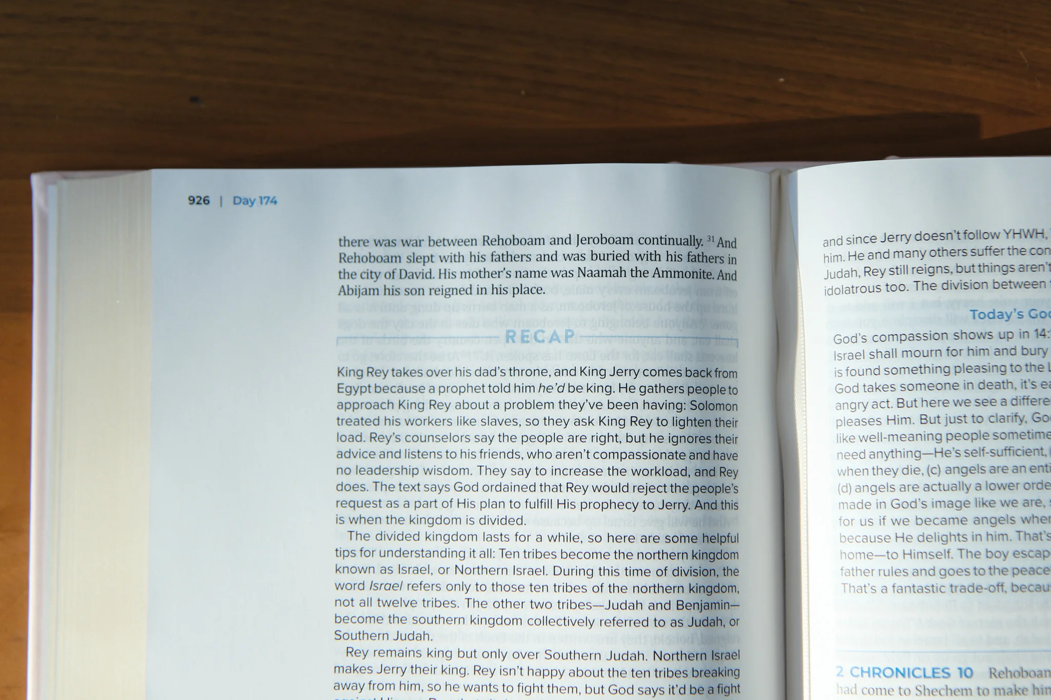 TBR 365-Day Chron Study Bible ESV - Pink Vegan Leather Hardcover - Image 3