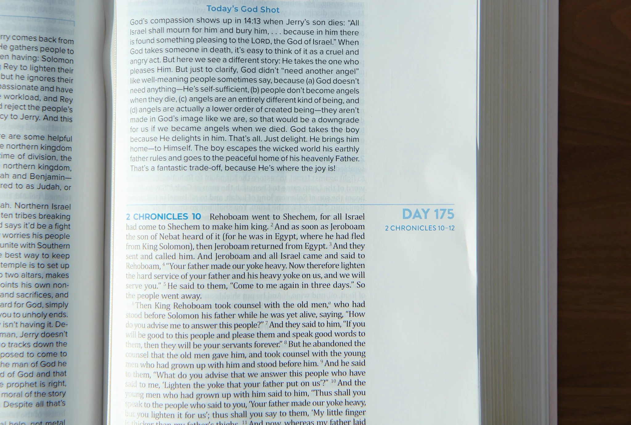 TBR 365-Day Chron Study Bible ESV - Pink Vegan Leather Hardcover - Image 4