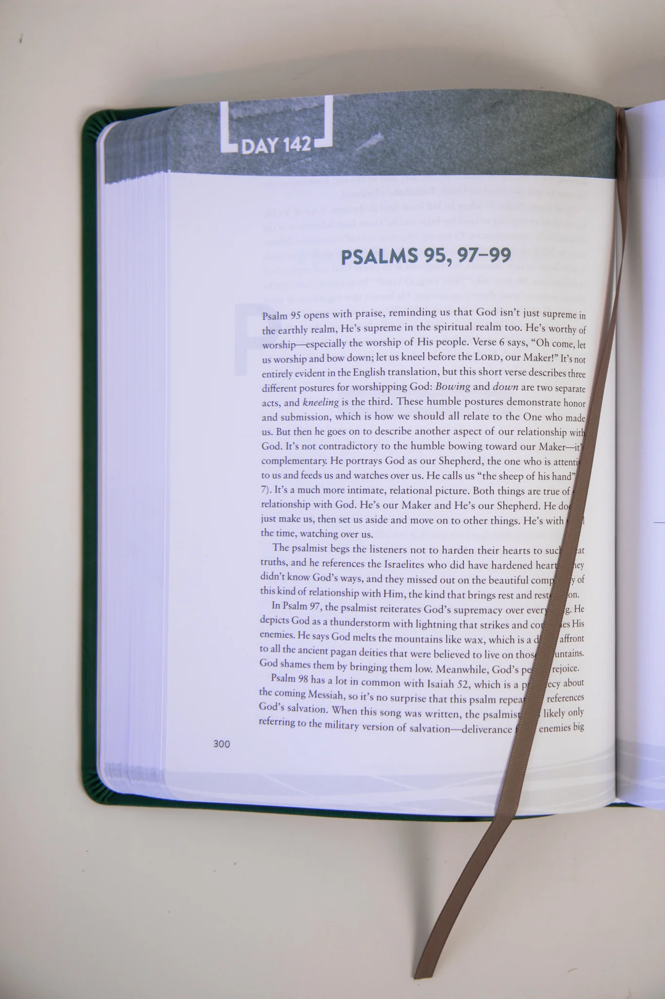 The Bible Recap: Forest Green - Image 3