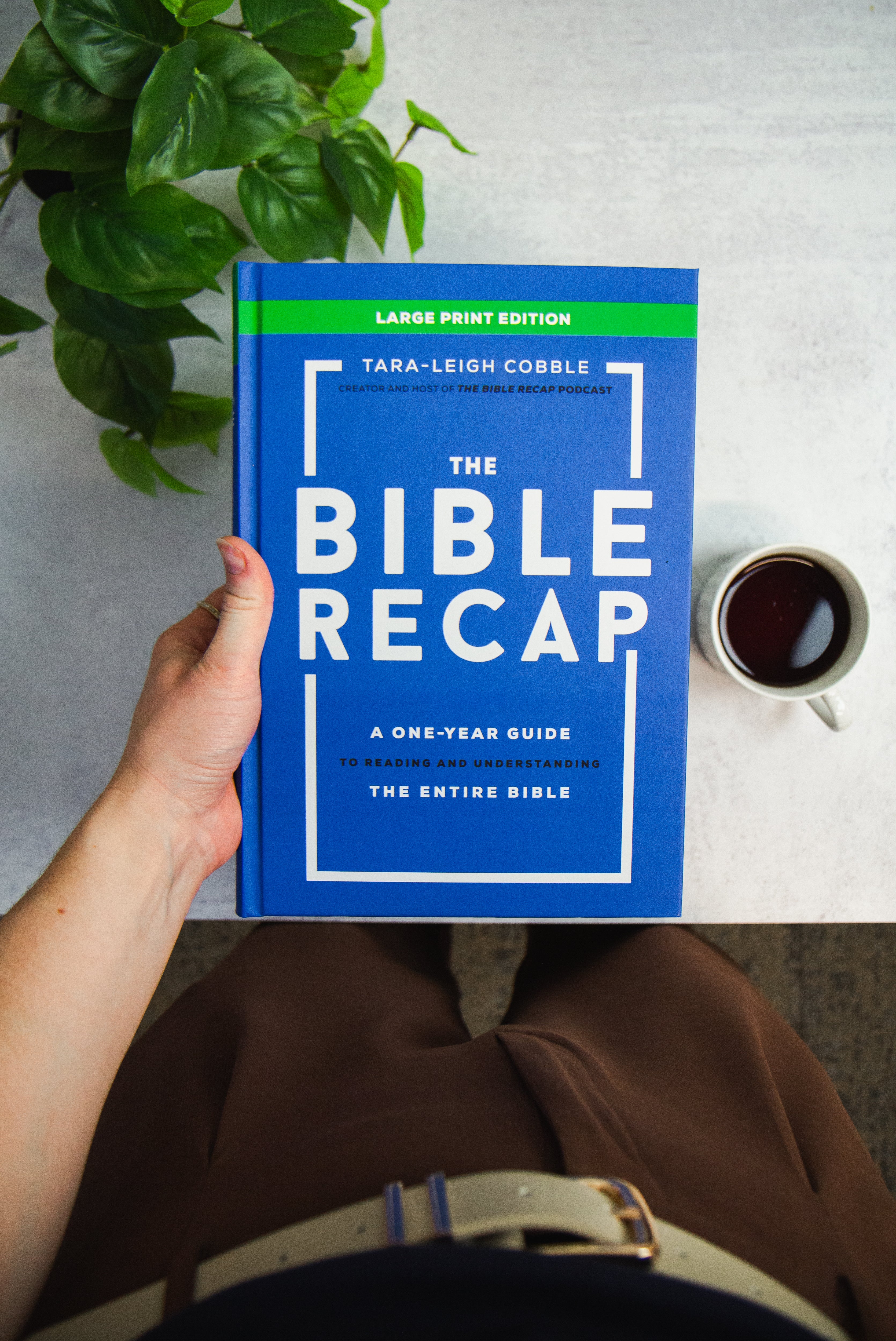 The Bible Recap: Large Print Edition - Image 2