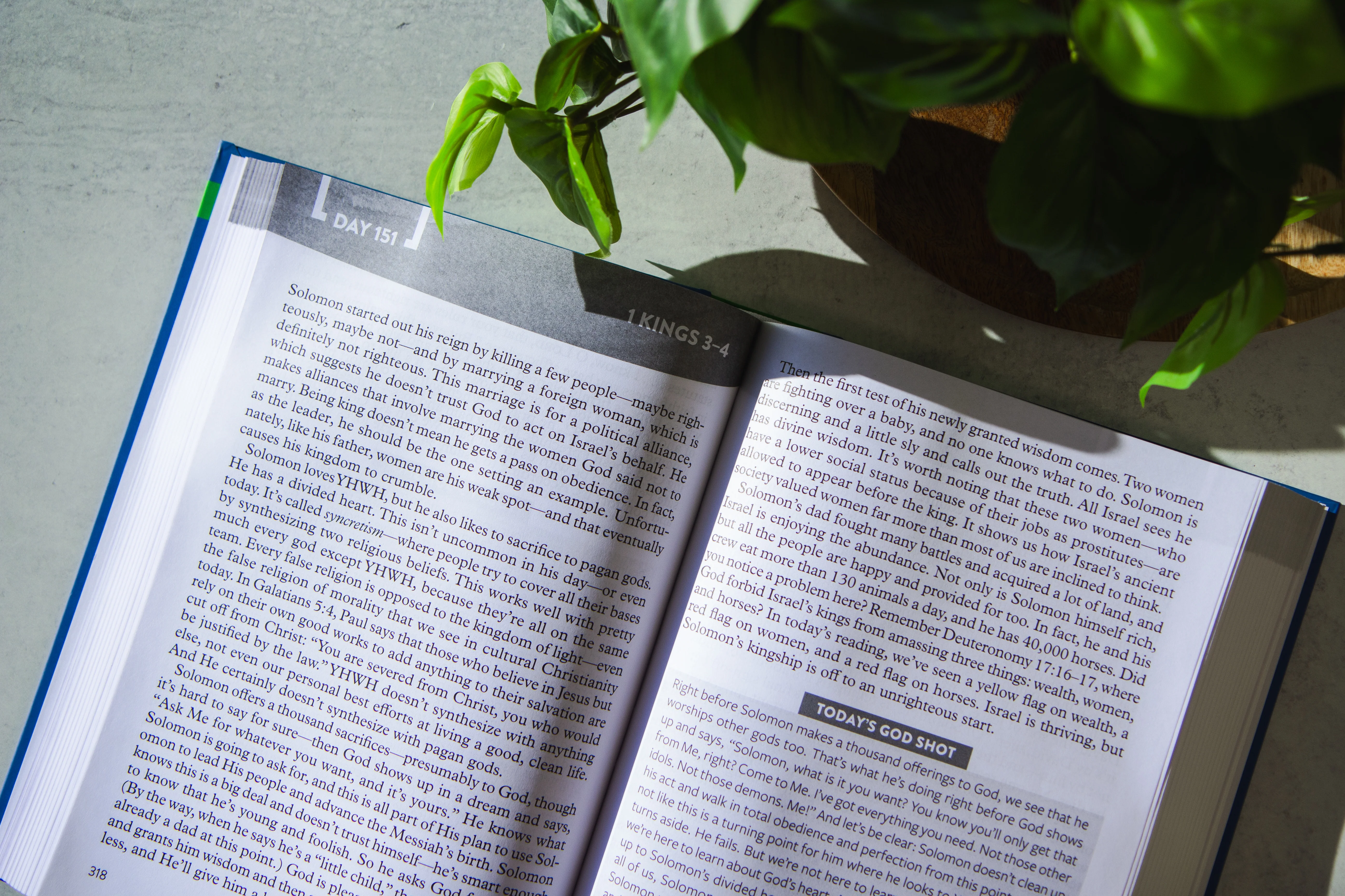 The Bible Recap: Large Print Edition - Image 3
