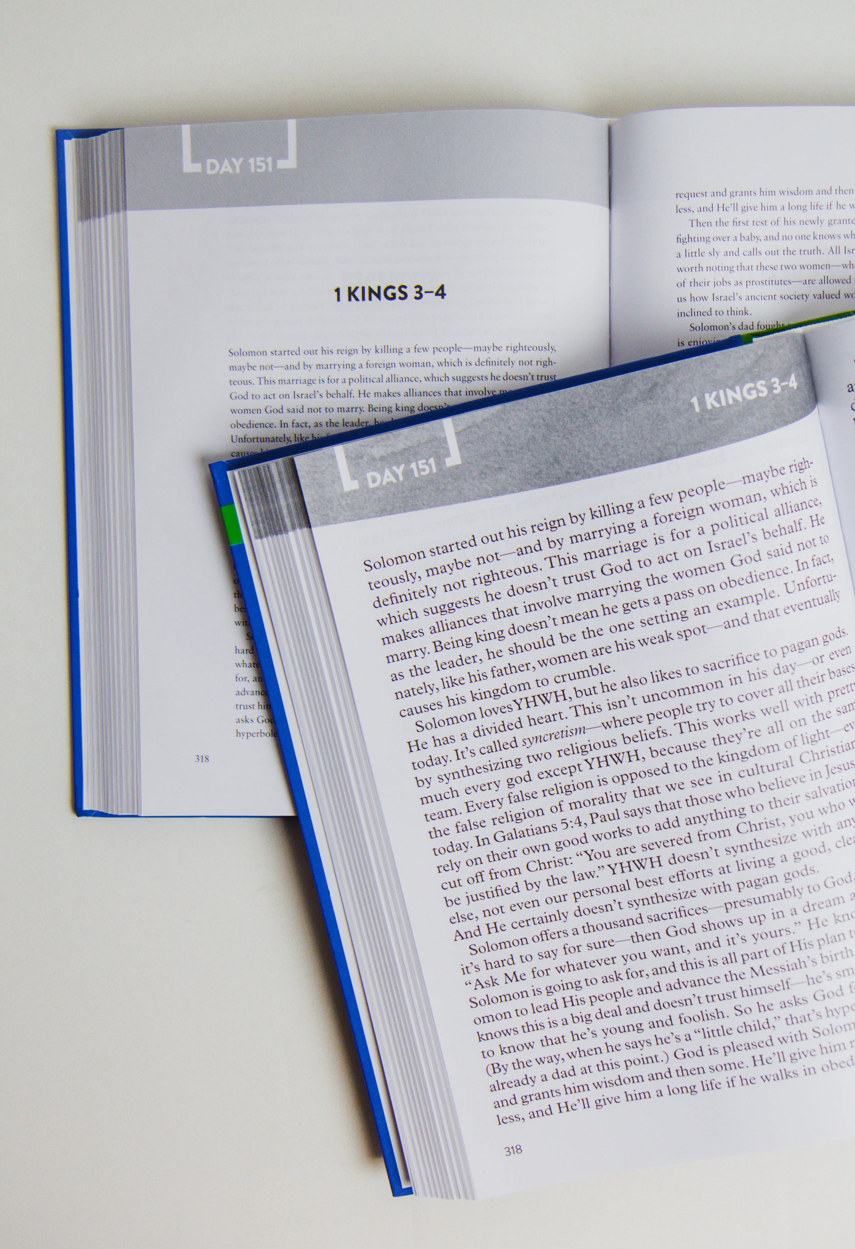 The Bible Recap: Large Print Edition - Image 5