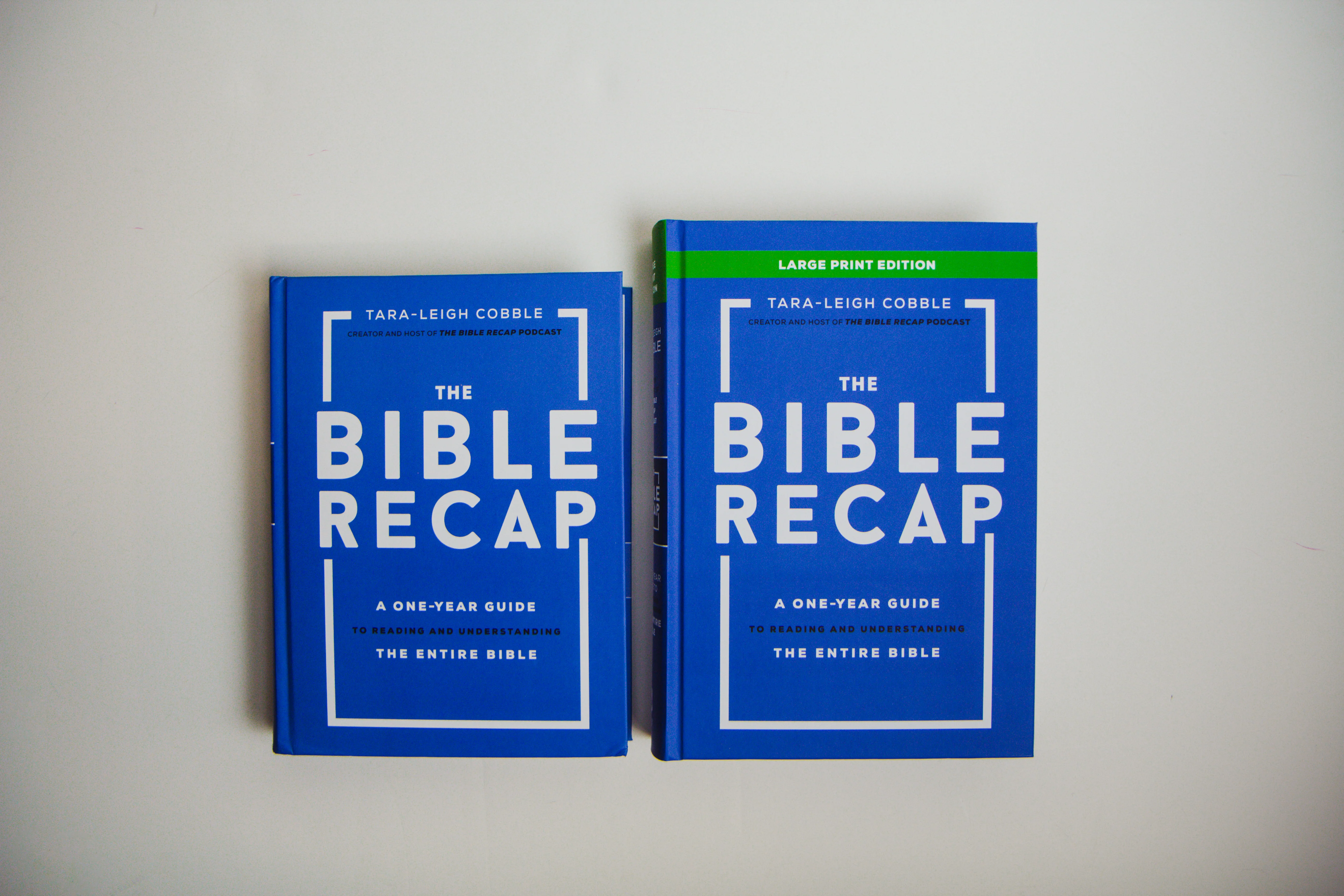 The Bible Recap: Large Print Edition - Image 6