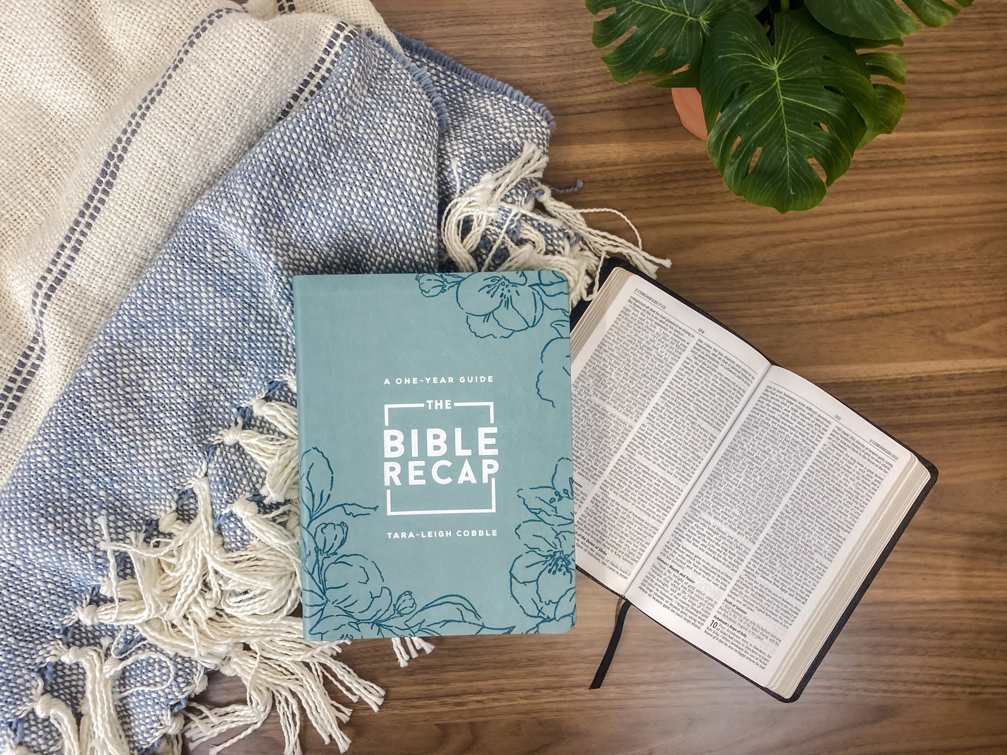 The Bible Recap: Sage - Image 3